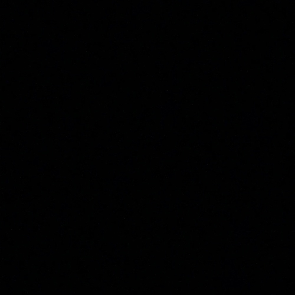 Meet your Posher, Bella